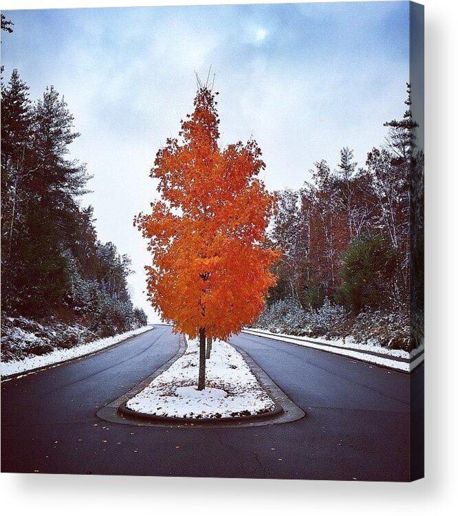 Asheville Acrylic Print featuring the photograph November 1st by Simon Nauert