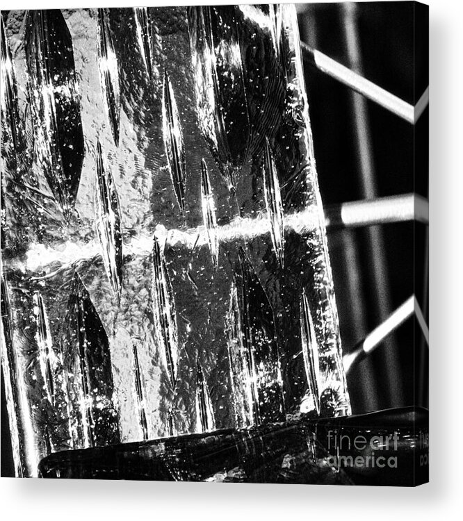 Ice Acrylic Print featuring the photograph On Ice by Eileen Gayle