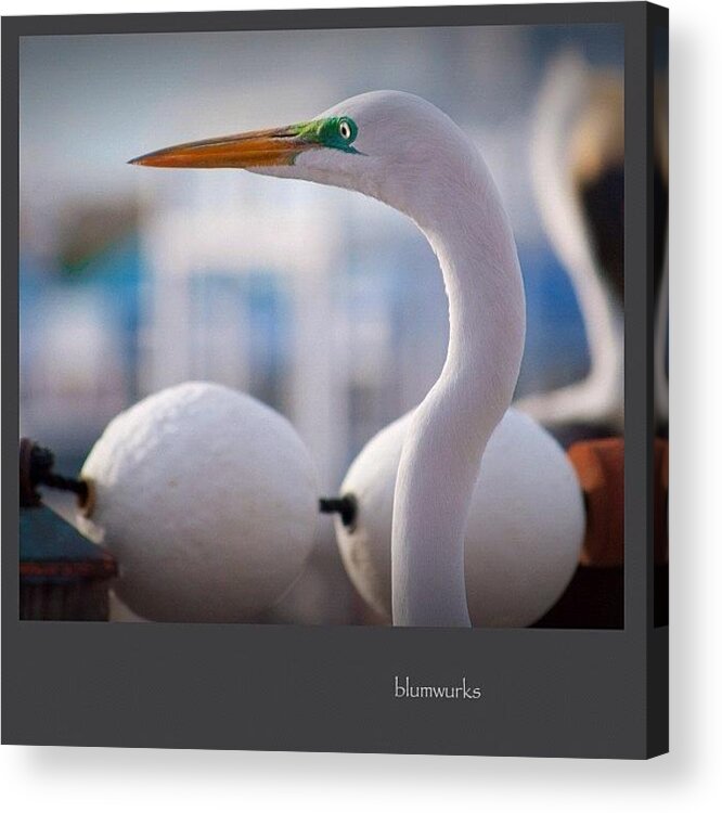 120likes Acrylic Print featuring the photograph On The Pier by Matthew Blum