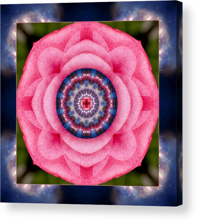 Yoga Art Acrylic Print featuring the photograph Open Heart by Bell And Todd