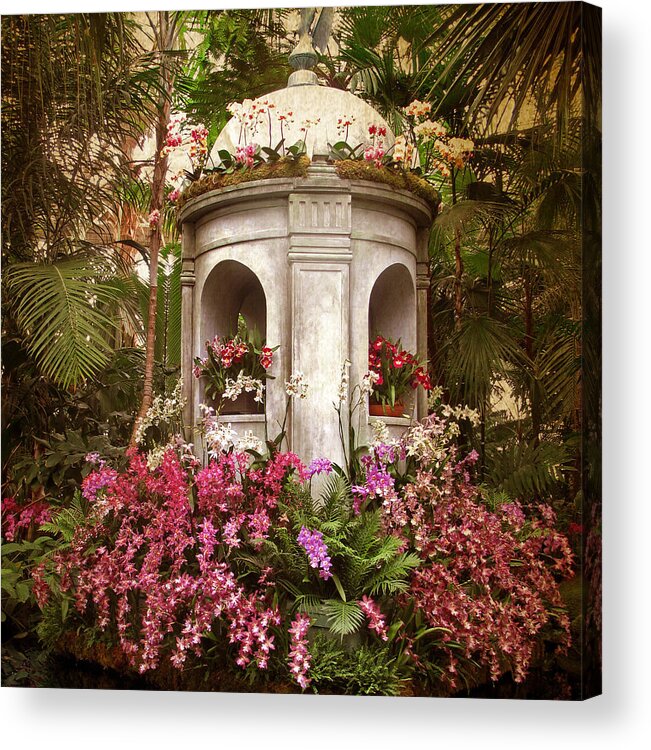 Orchids Acrylic Print featuring the photograph Orchid Display by Jessica Jenney