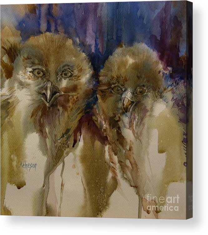 Wet On Wet Acrylic Print featuring the painting Owls by Donna Acheson-Juillet
