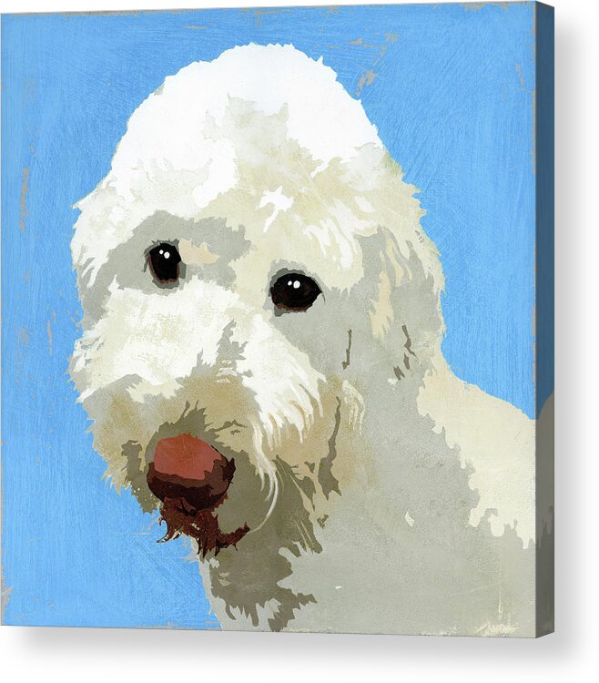 Animal Acrylic Print featuring the painting Painting Of Labradoodle Dog by Ikon Ikon Images