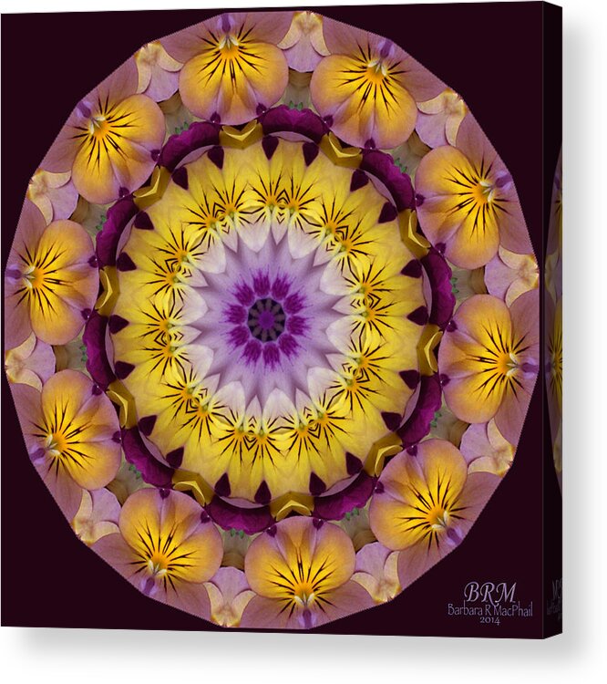 Kaleidoscope Acrylic Print featuring the photograph Pansy Party by Barbara R MacPhail