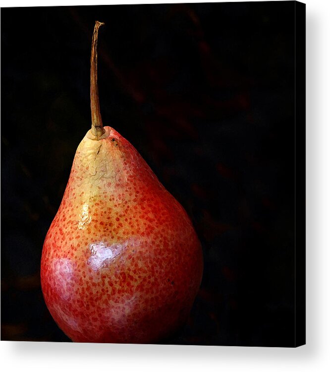 Pear Acrylic Print featuring the photograph Perfect Pear by Karen Lynch