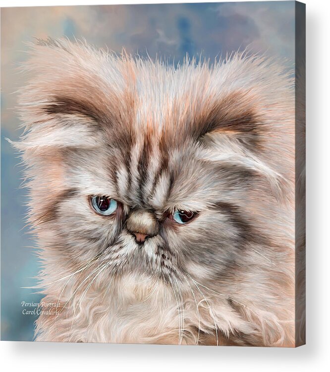Persian Cat Acrylic Print featuring the mixed media Persian Portrait by Carol Cavalaris