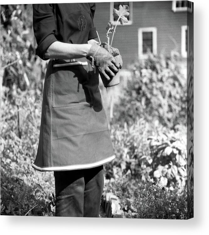 Fashion Acrylic Print featuring the photograph Person Wearing A Gardening Apron by Frances McLaughlin-Gill