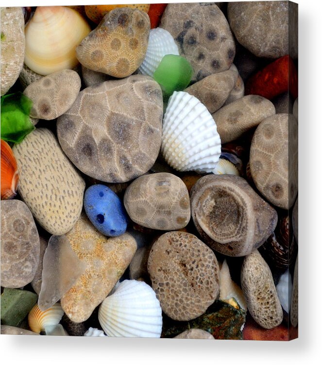 Square Acrylic Print featuring the photograph Petoskey Stones V by Michelle Calkins