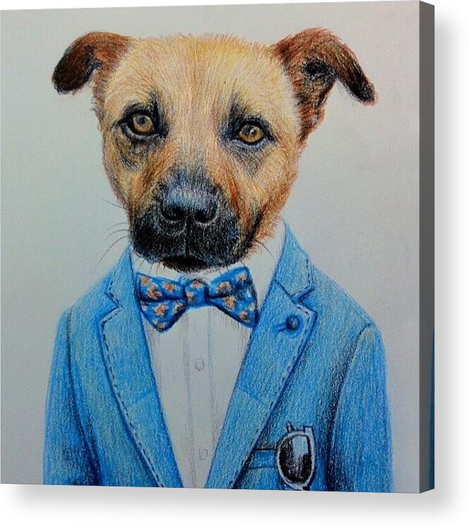  Acrylic Print featuring the photograph Pets Dog Portrait Color Pencil Drawing by Wind Z