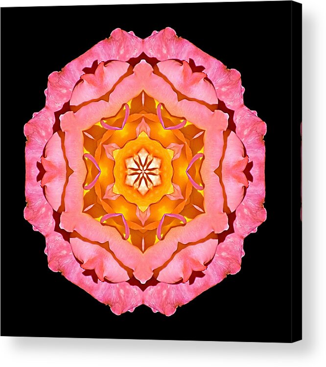 Flower Acrylic Print featuring the photograph Pink and Orange Rose I Flower Mandala by David J Bookbinder