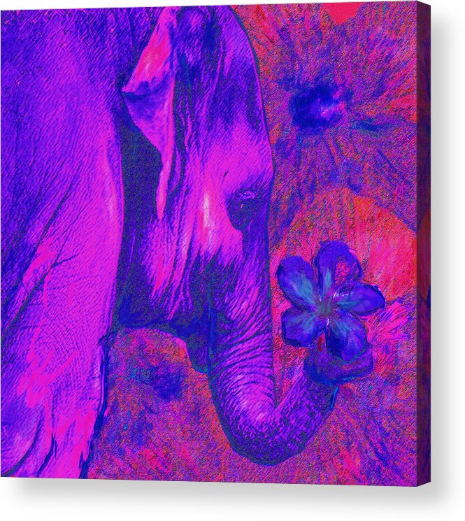 Elephant Acrylic Print featuring the digital art Pink and Purple Elephant by Jane Schnetlage