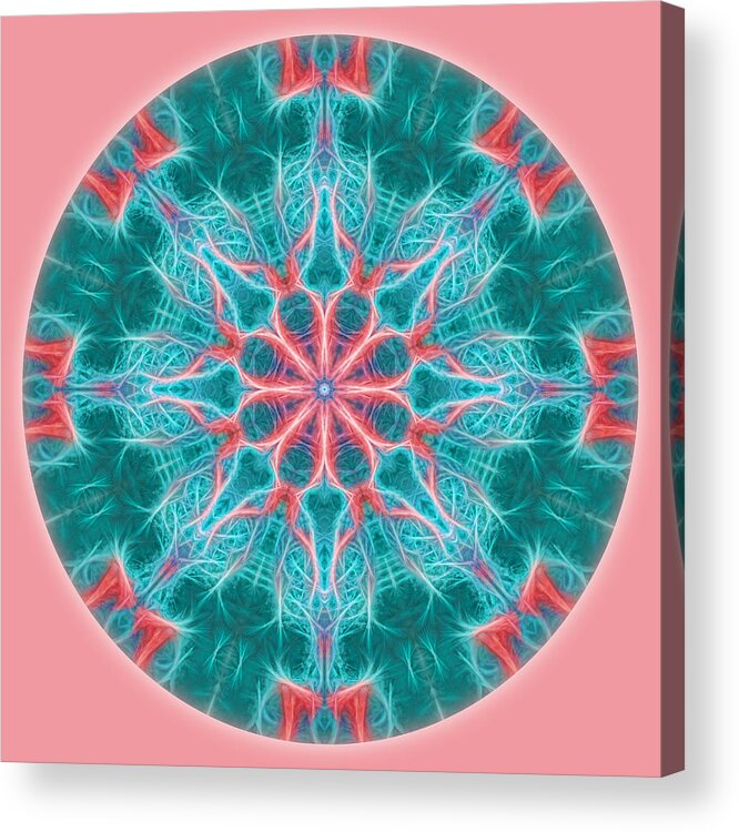 Mandala Acrylic Print featuring the photograph Pink Fractal Flower Mandala by Beth Venner