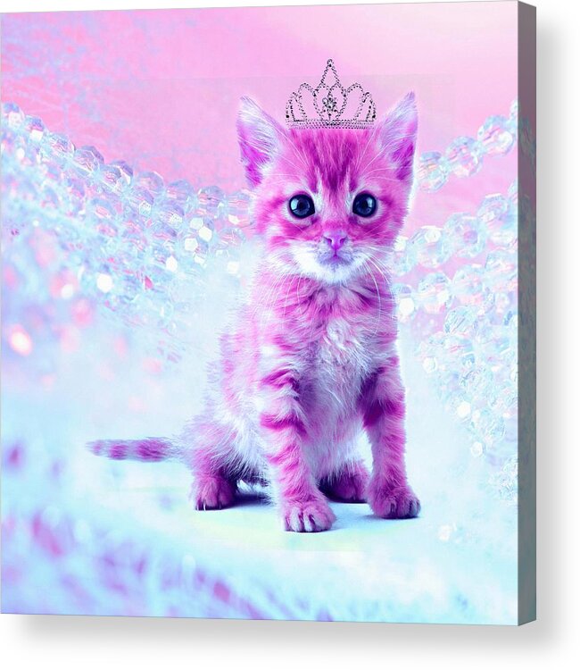 Pink Acrylic Print featuring the digital art Pink Kitty princess by Lilia S