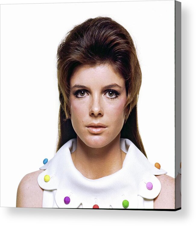 Fashion Acrylic Print featuring the photograph Portrait Of Katharine Ross by Bert Stern