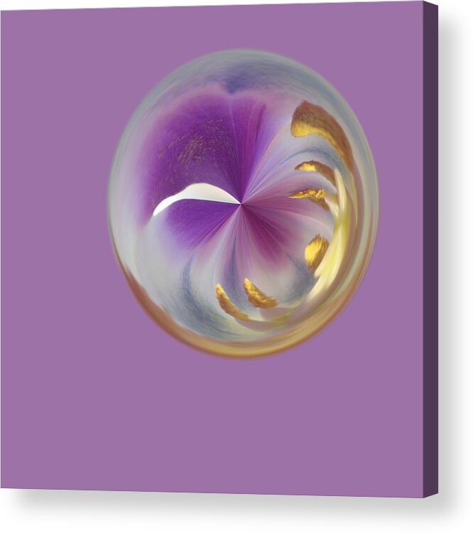 Flowers Acrylic Print featuring the photograph Purple Moon by Jim Baker