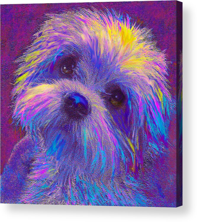 Jane Schnetlage Acrylic Print featuring the digital art Rainbow Shih Tzu by Jane Schnetlage