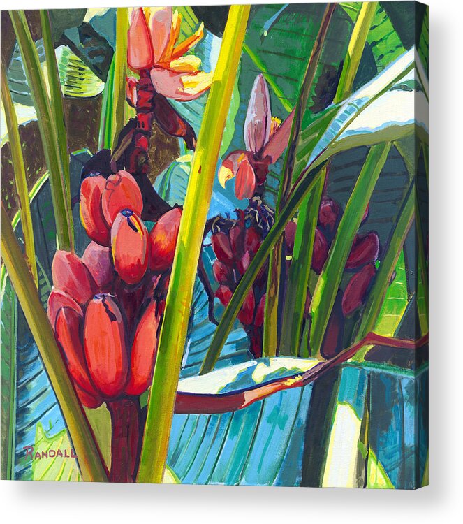 Bananas Acrylic Print featuring the painting Red and Green by David Randall