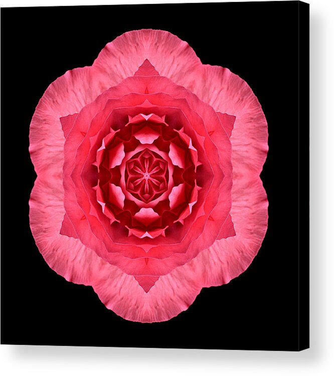 Flower Acrylic Print featuring the photograph Red Begonia I Flower Mandala by David J Bookbinder