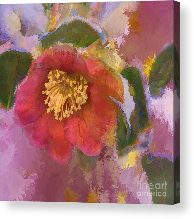 Camelia Acrylic Print featuring the photograph Red Camelia in a Winter Coat by Terry Rowe