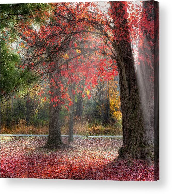 Fog Acrylic Print featuring the photograph Red Dawn Square by Bill Wakeley