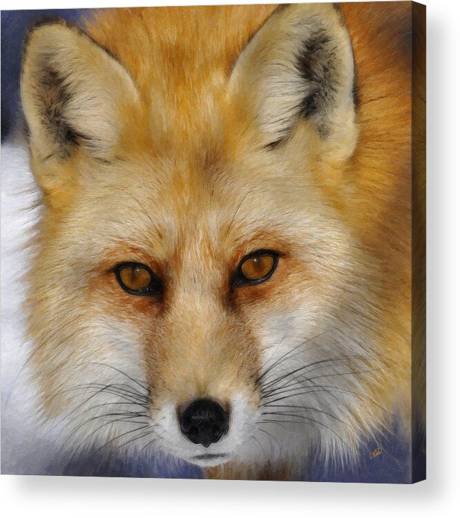 Red Fox Acrylic Print featuring the painting Red Fox by Dean Wittle