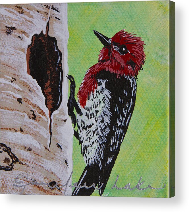 Red Acrylic Print featuring the painting Red Headed Sapsucker Mini by Jennifer Lake