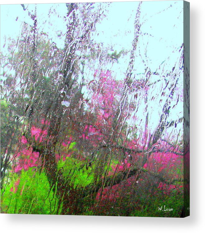 Redbud Acrylic Print featuring the photograph Redbud Trees by Wendell Lowe