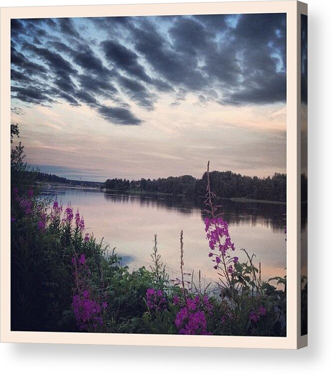 Instasweet_flowers Acrylic Print featuring the photograph #river #umeå #flowers #umeälven by Carina Ro