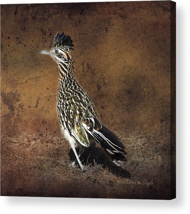 Bird Acrylic Print featuring the photograph Road Runner 2 by Karen Slagle