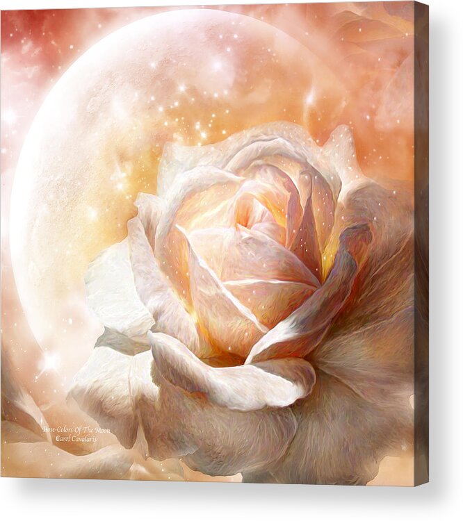 Rose Acrylic Print featuring the mixed media Rose - Colors Of The Moon by Carol Cavalaris
