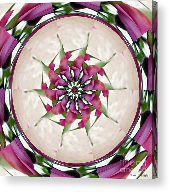 Rose Acrylic Print featuring the photograph Rose Petal Pinwheel by Renee Trenholm