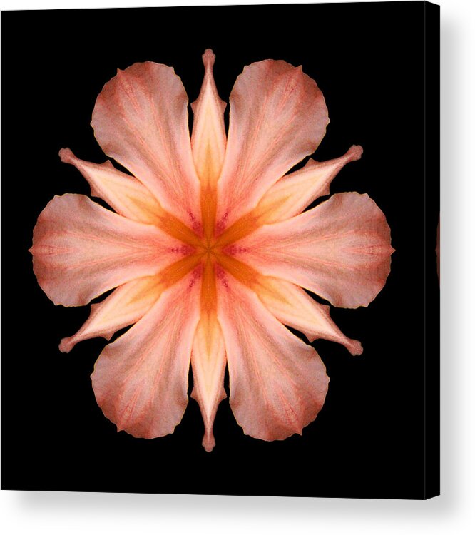 Flower Acrylic Print featuring the photograph Salmon Daylily I Flower Mandala by David J Bookbinder