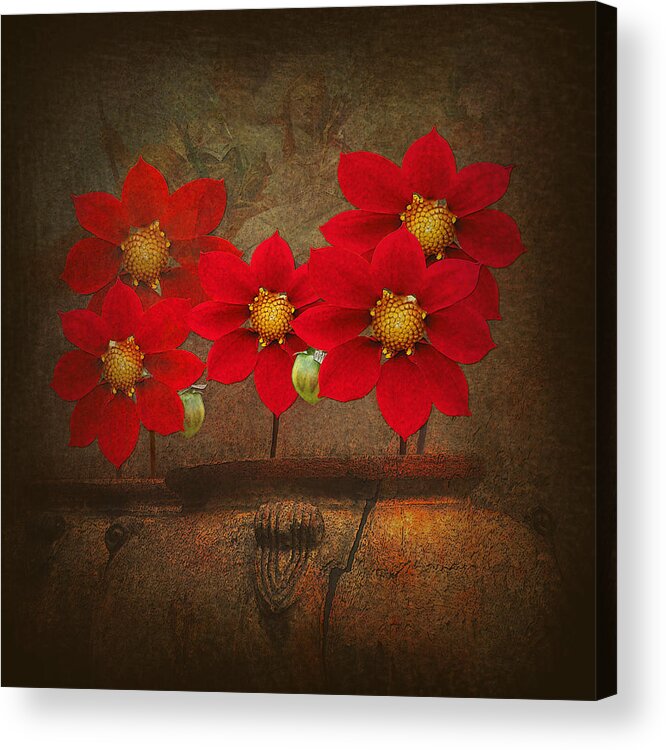 Red Acrylic Print featuring the photograph Scandal by Jeff Burgess