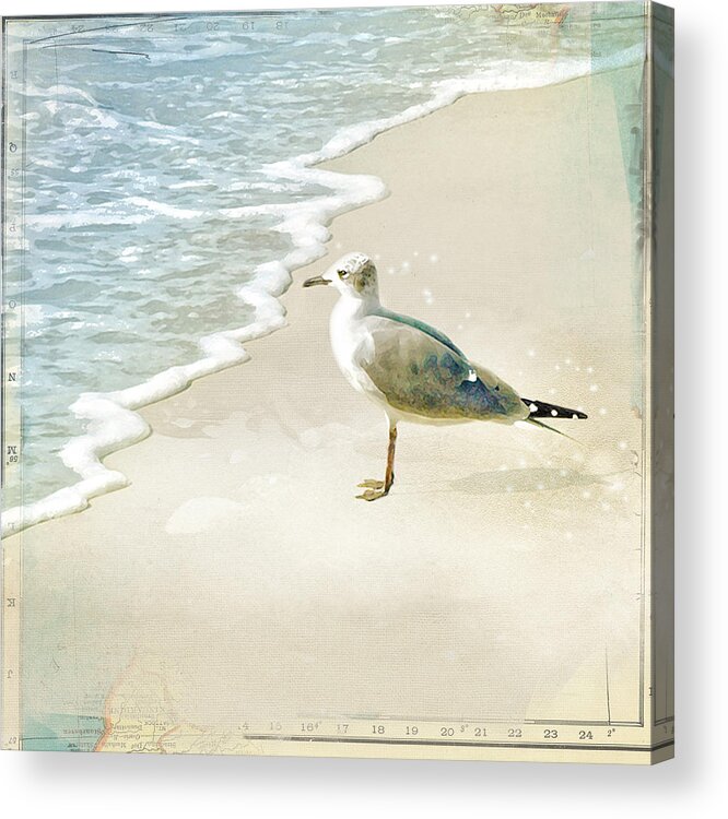 Seagull Acrylic Print featuring the photograph Marco Island Seagull by Karen Lynch