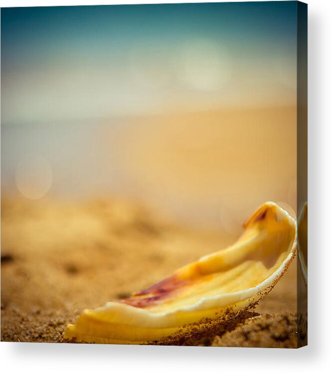 Wave Acrylic Print featuring the photograph Seashell by Raimond Klavins