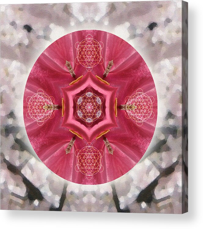Mandala Acrylic Print featuring the mixed media Seeds of Transformation by Alicia Kent