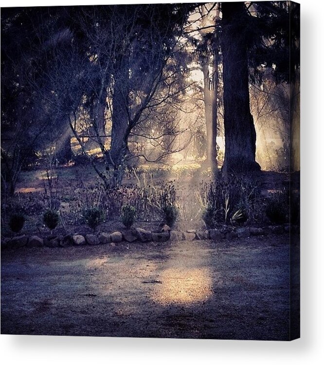  Acrylic Print featuring the photograph Shadow And Light by Blenda Studio