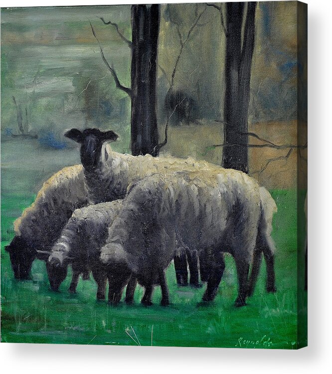 Sheep Acrylic Print featuring the painting Sheep Family by John Reynolds