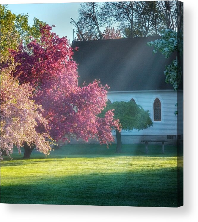 Spring Acrylic Print featuring the photograph Shine The Light On Me Square by Bill Wakeley
