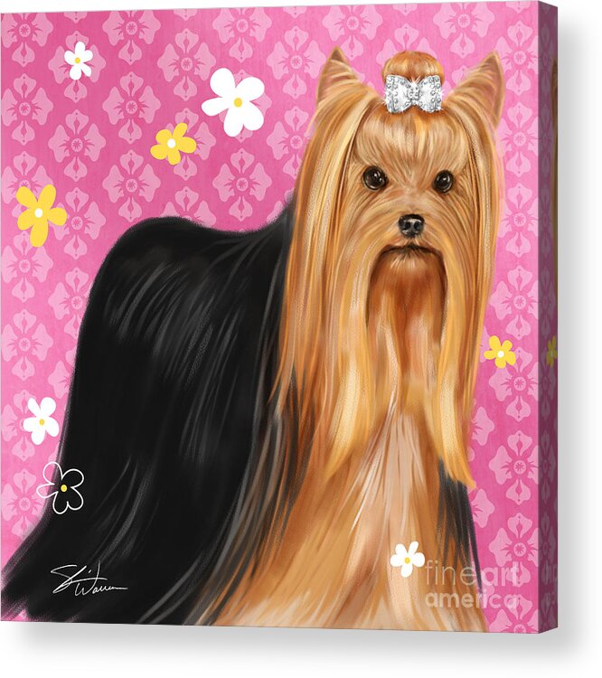 Dog Acrylic Print featuring the mixed media Show Dog Yorkshire Terrier by Shari Warren