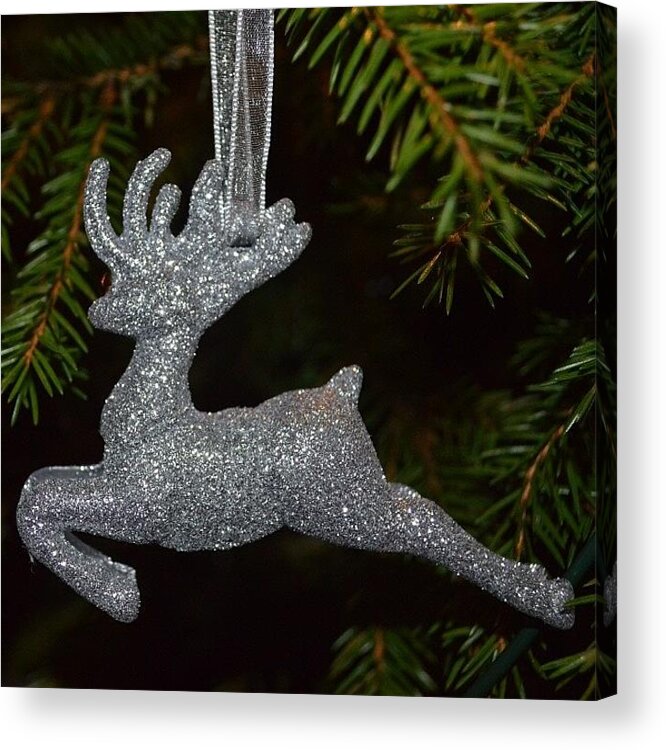 Somuchfun Acrylic Print featuring the photograph Silver Rudolph. by Eve Tamminen