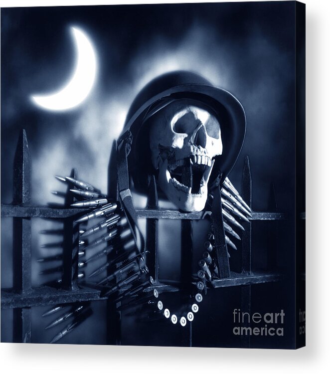 Skull Acrylic Print featuring the photograph Skull by Tony Cordoza
