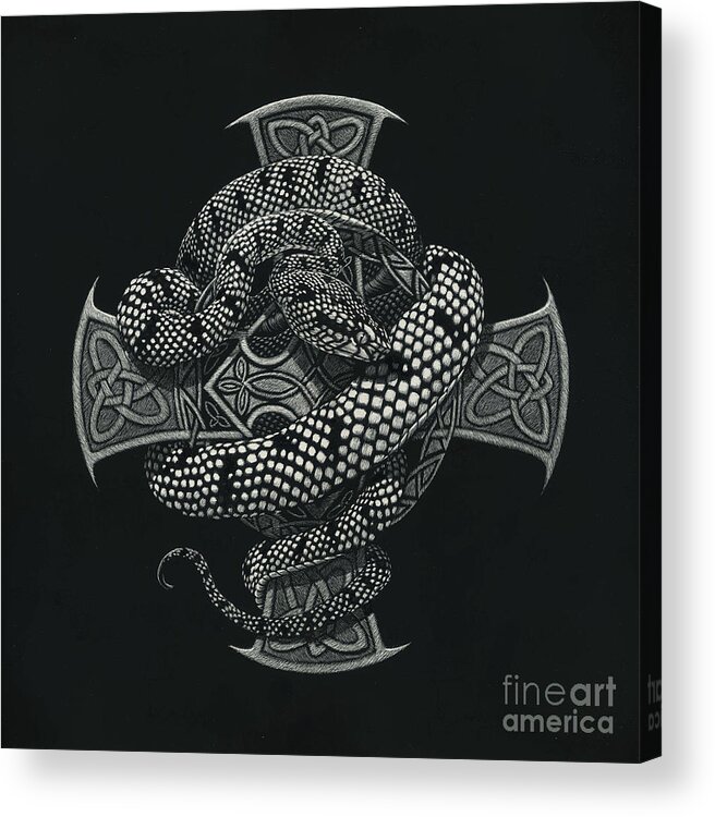 Snake Acrylic Print featuring the painting Snake Cross by Stanley Morrison
