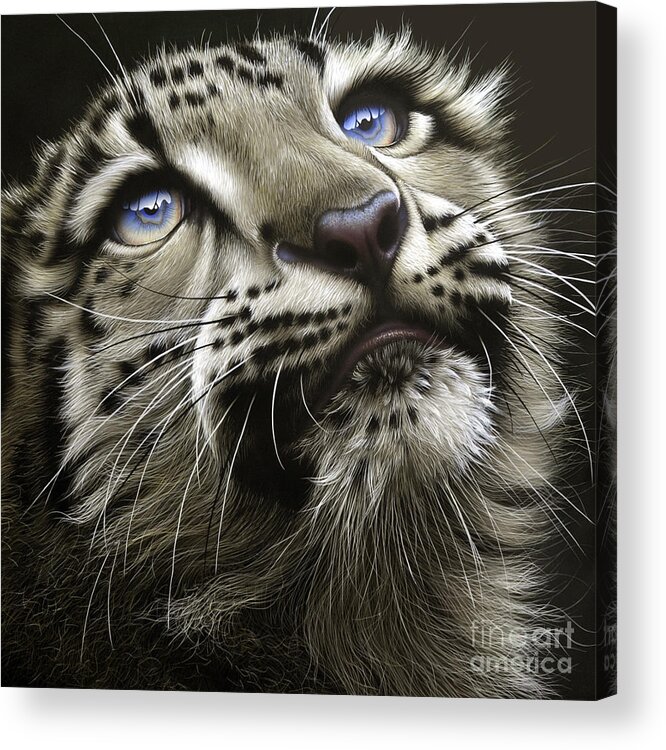 Snow Leopard Cub Acrylic Print featuring the painting Snow Leopard Cub by Jurek Zamoyski