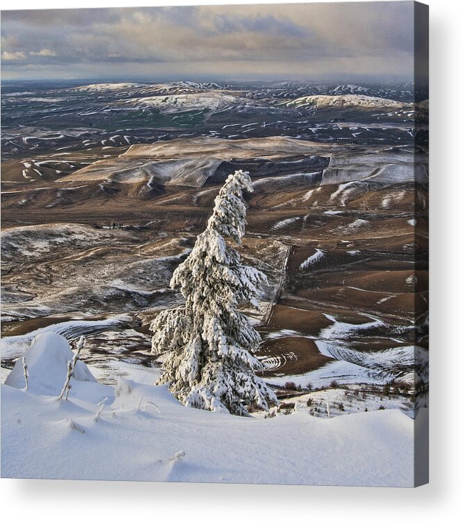 steptoe Butte Acrylic Print featuring the photograph Snowy Day In The Palouse by Paul DeRocker