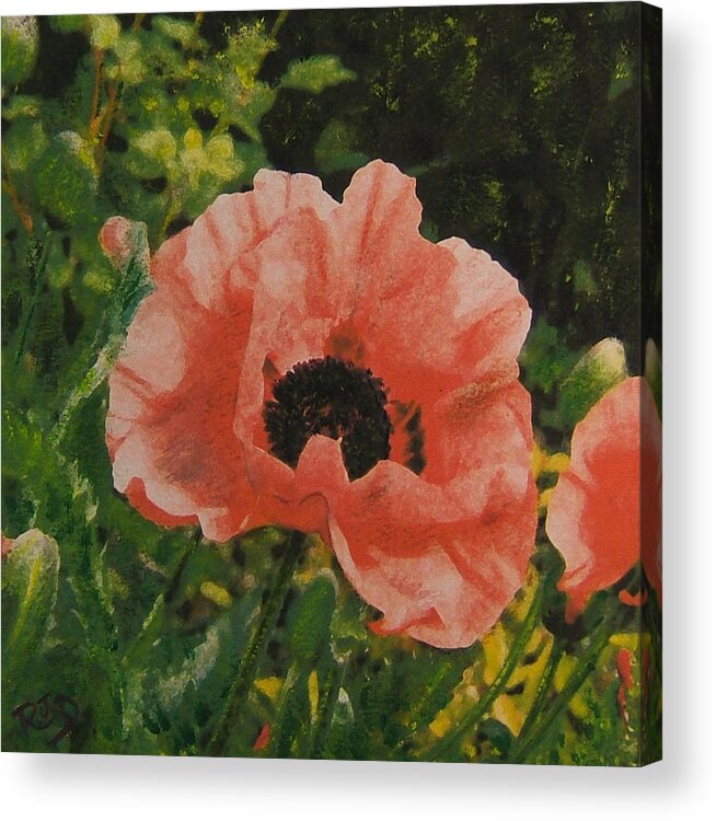 Poppy Acrylic Print featuring the painting Solo POPPY by Richard James Digance
