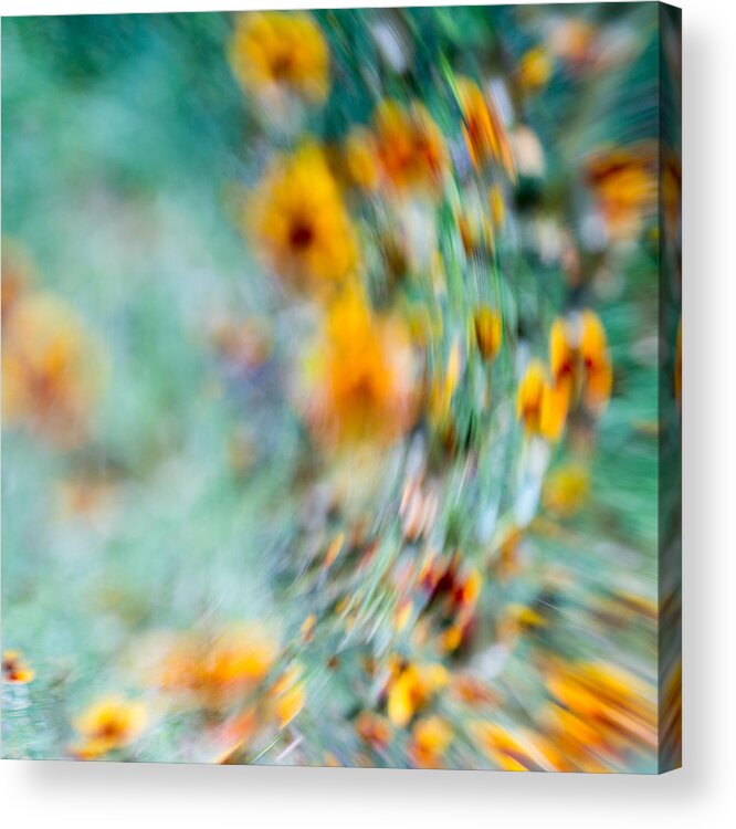 Floral Abstract Acrylic Print featuring the photograph Sonic by Darryl Dalton