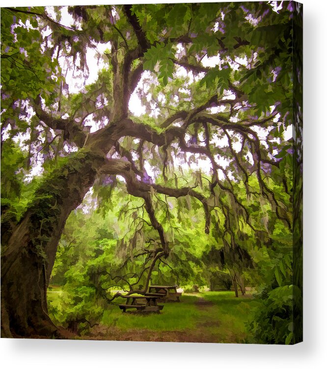 Tree Acrylic Print featuring the photograph Southern Tree by Mary Underwood