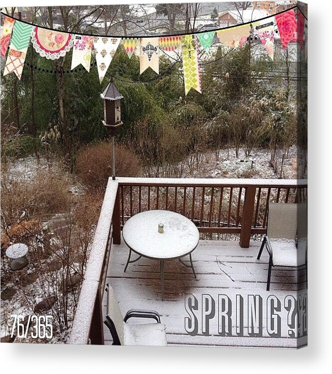 Winter Acrylic Print featuring the photograph Spring? Nope It's Winter Storm Wiley by Teresa Mucha