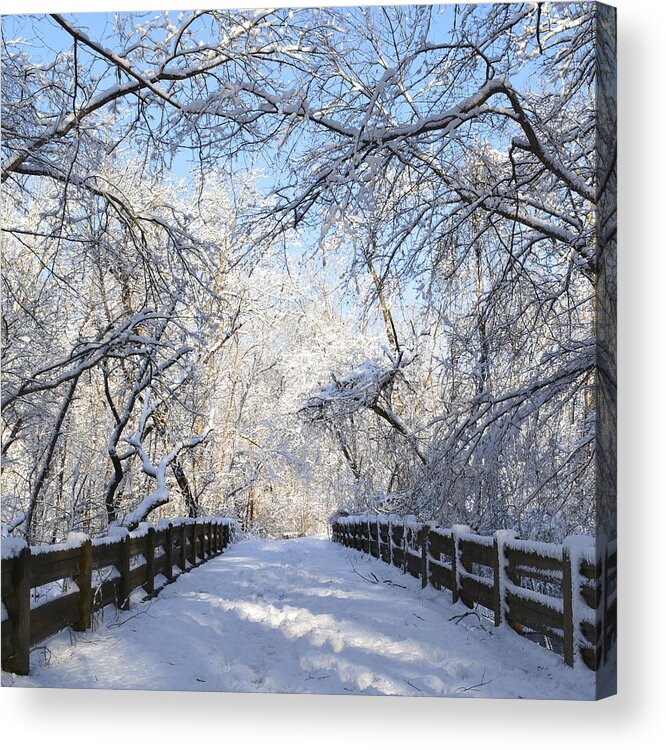 Winter Acrylic Print featuring the photograph Spring Snow Bridge by Forest Floor Photography